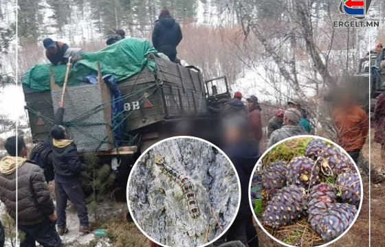 ОЙГОО МӨЛЖИГСӨД УУЛАНДАА ГАРЛАА