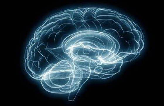 Доктор, профессор Жипин Пан: Монгол Улс тархи судлалын салбарт монгол хүний онцлогийг тодотгож өгөх хэрэгтэй