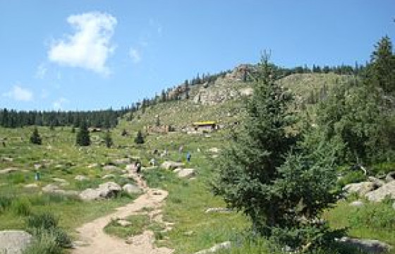 Богд ууланд төөрсөн иргэнийг эрэн хайж байна