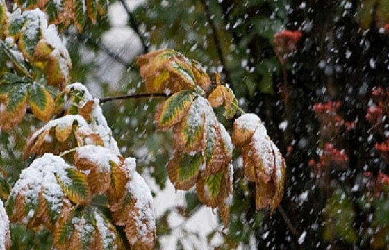 ЦУОШГ: Амралтын өдрүүдээр уулархаг бүсээр нойтон цас орох магадлалтай