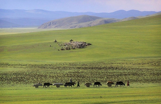Нийт нутгийн 50 орчим хувьд зуншлага сайн байна