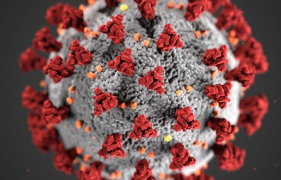 КОРОНАВИРУСИЙН 101 ТОХИОЛДОЛ БҮРТГЭГДЭВ