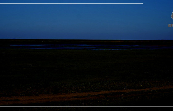 СҮҮН ЗАМЫН ГЭРЭЛД ЦАЙРАХ ДОРНЫН БУУРАЛ ТАЛ