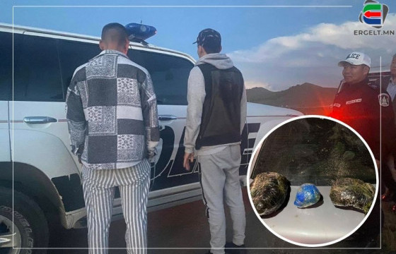 Сэтгэцэд нөлөөлөх ургамал тээвэрлэсэн хэрэг гарлаа