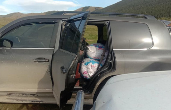 Түргэний аманд хууль бусаар дөрвөн тонн орчим самар түүлгэж, дамлан зарах гэж байсныг таслан зогсоожээ