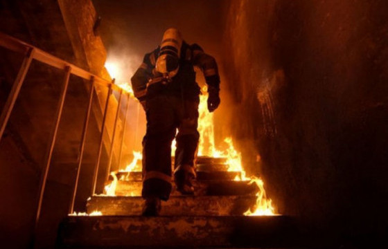 НОБГ: УГААРТАХ ЭРСДЭЛТЭЙ 50 ИРГЭНИЙ АМИЙГ АВРАН ХАМГААЛЛАА