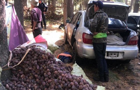 “Самар-2022” хэсэгчилсэн арга хэмжээ зохион байгуулж байна