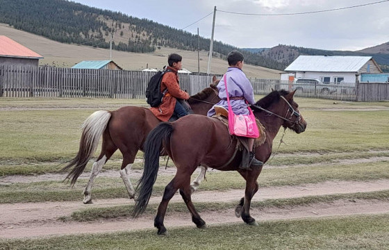 СУРГУУЛЬДАА МОРИОР ЯВДАГ АХ, ДҮҮ ХОЁР