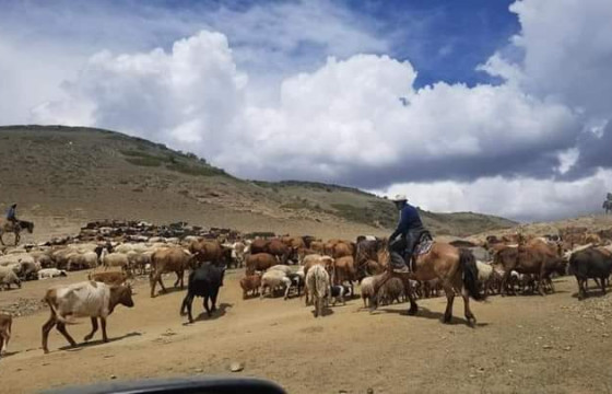 БАЯНХОНГОР АЙМГИЙН ОБЕГ-ын дарга Ж.Алтангэрэл: Аймгууд отор хүлээж авахгүй гэж мэдэгдээд байна