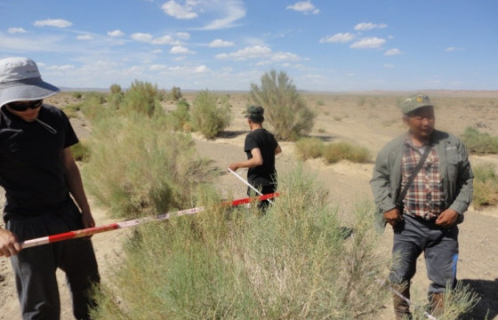 Улсын төсвийн хөрөнгөөр ой зохион байгуулалтын ажил хийж байна