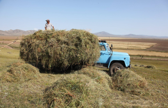 Өвөлжилт хүндэрбэл УОК-ынхон нөөцгүй гээд сууж байх нь
