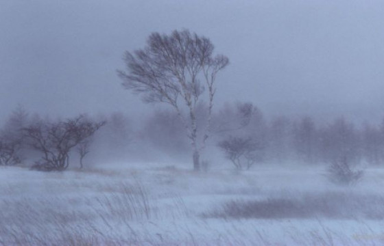 Он гарснаас хойш 2850 аюулт үзэгдэл, ослын тохиолдол бүртгэгдэж, 197 хүн амиа алджээ