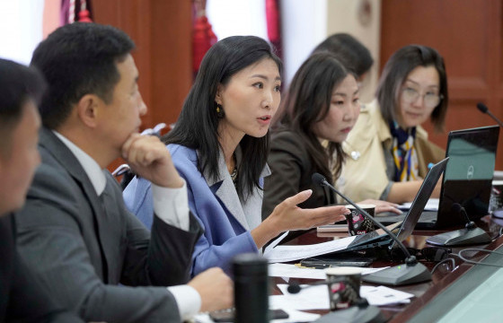 Залуучуудын хөгжил, оролцоог дэмжих төсөлд санал авах уулзалт зохион байгуулагдлаа