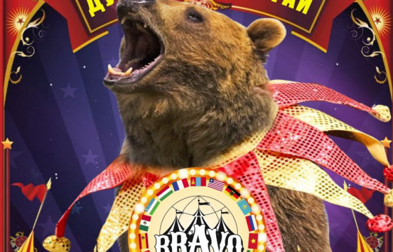 Циркийн урлагийн 11 улсын 86 жүжигчдийн тоглолт болно