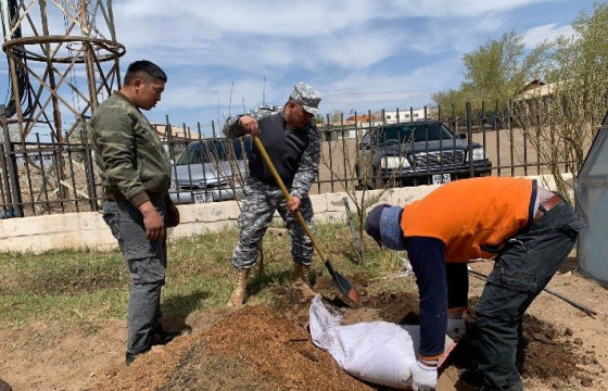 ОБЕГ-ын алба хаагчид 15 нэр төрлийн 2098 модыг тарьж, ургуулж байна