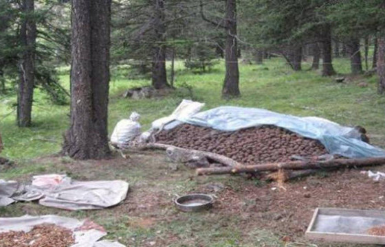  Самарт яваад сураггүй болсон 32 настай эмэгтэйг олоогүй байна