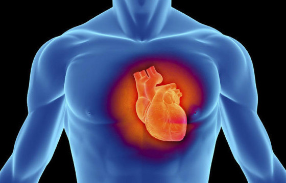 ТАНИЛЦ: Зүрх судасны өвчнөөс сэргийлэх таван арга