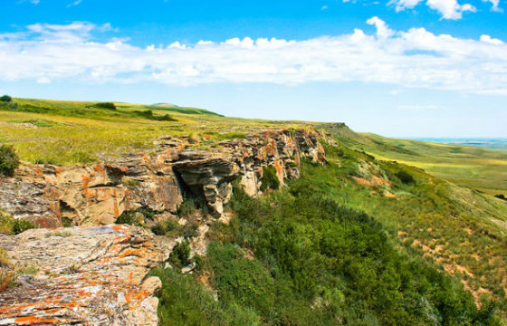 Согтуурсан иргэн уулын хаданд машинтайгаа тэгнэж, хөдлөх боломжгүй болжээ
