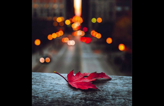 НАМРЫН УЛИРАЛД СОНСОХ 5 МОНГОЛ ДУУ