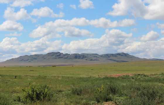ТӨРИЙН СОЁРХОЛТ ЯРУУ НАЙРАГЧ Р.ЧОЙНОМЫН НУТГИЙН ШАРГАЛ ӨВС БӨХИЙСӨӨР, БӨХӨЛЗСӨӨР УГТЛАА 