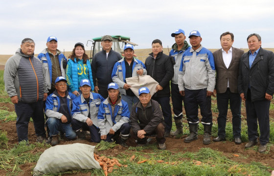 Дархан-Уул аймаг дотооддоо төмсний хэрэгцээгээ 100 хувь хангах болов