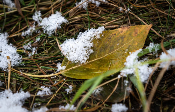 ЦУОШГ: Аравдугаар сарын 2-ноос ихэнх нутгаар хүйтэрнэ