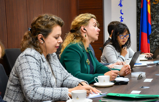 “НҮБ-ын дур зоргоор баривчлан саатуулах асуудлаарх ажлын хэсэг”-ийг хүлээн авч уулзлаа