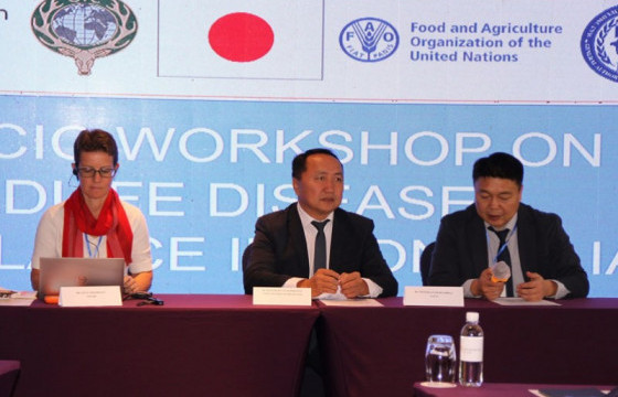 Зэрлэг амьтны өвчнийг тандах олон улсын зөвлөгөөн болж байна