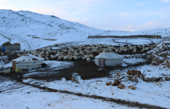  ХАВТАСТ ХЭРЭГ: Ахынхаа эхнэрийг онц хэрцгийгээр хөнөөж, хэргийн газраас зугтаж, өвөлжөөндөө нуугдсан байжээ 