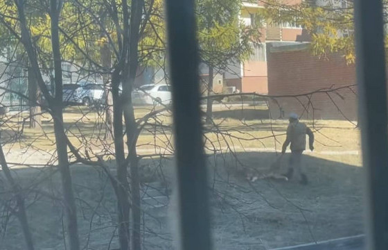 ОРХОН АЙМГИЙН ХОТ ТОХИЖУУЛАХ ГАЗРЫН ЕРӨНХИЙ ИНЖЕНЕР Н.ЭРДЭНЭБААТАР: Цагдаа орчныг аюулгүй болгосны дараа тоглоомын талбайн хажууд нохой устгасан