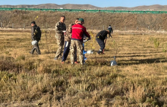 Хөшигийн хөндийд жимсний мод суулгав