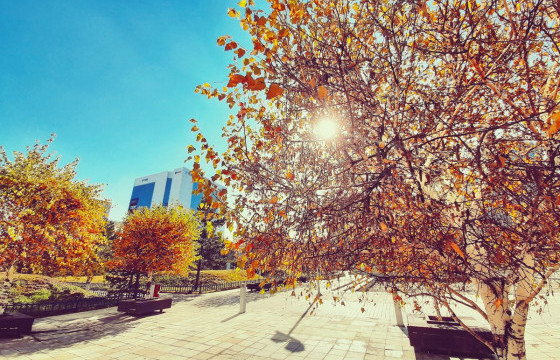 ЦАГ АГААР: 10-12 градус дулаан