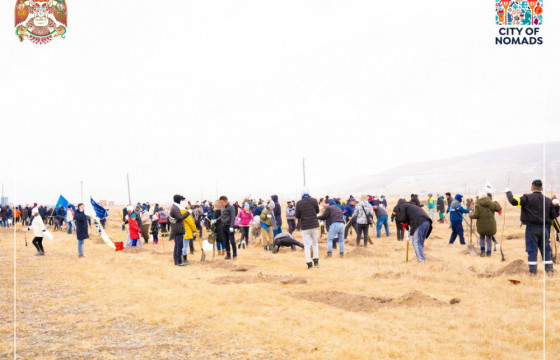 100 мянган модыг Туул голын эргийн хамгаалалтад тарина