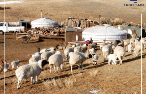 Д.БАЯНБАТ: Өвөлжилт хүндэрсэн ч,  түүнийг давах хэмжээний өвс, тэжээлийн нөөц бүрдүүлж байгаа