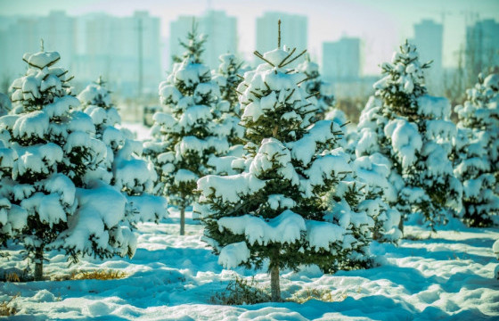 ЦАГ АГААР: Улаанбаатар хотод өдөртөө 4-6 градус дулаан