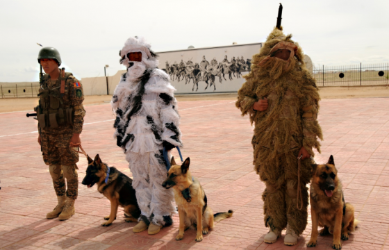 Үнэрч нохой зэрлэг амьтны хууль бус худалдаа, тээвэрлэлтийг илрүүлж эхэлжээ