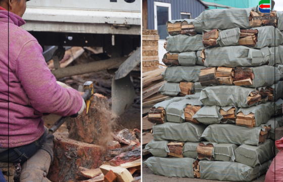 ӨДРИЙН СУРВАЛЖИЛГА: ХАЛУУН ГАЛ, ХОНОГИЙН ХООЛ ЗАЛГУУЛЖ БУЙ ЦАЙЗ ЗАХЫН АМЬДРАЛ