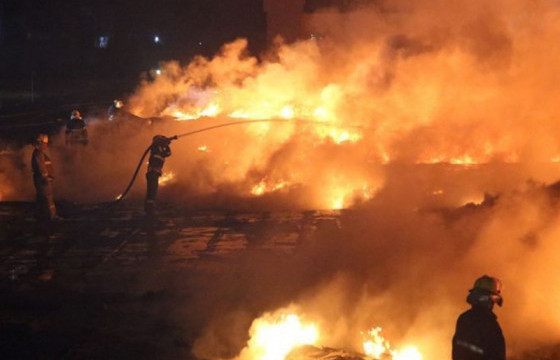 Гал түймрийн улмаас энэ онд 29 хүн амиа алджээ