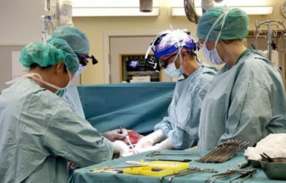 Элэгний хорт хавдрын тусламж, үйлчилгээг ЭМД-ын сангаас бүрэн хариуцна