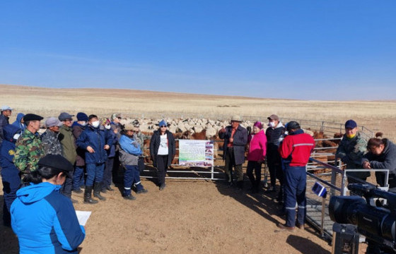Бог малын ангилагч, шинжээч бэлтгэх сургалт зохион байгууллаа