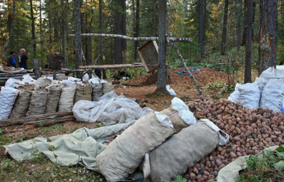 Самарт яваад сураггүй болсон иргэнийг эрэн хайх ажиллагаа үргэлжилж байна