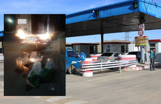 Нийслэл рүү 31 тарваганы мах оруулах гэж байсныг илрүүлжээ