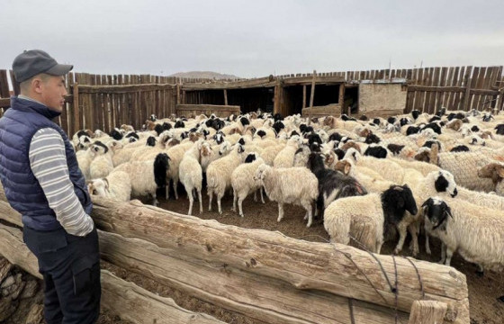 Малчид биржээр дамжуулан малаа үйлдвэрт арилжаалж эхэллээ