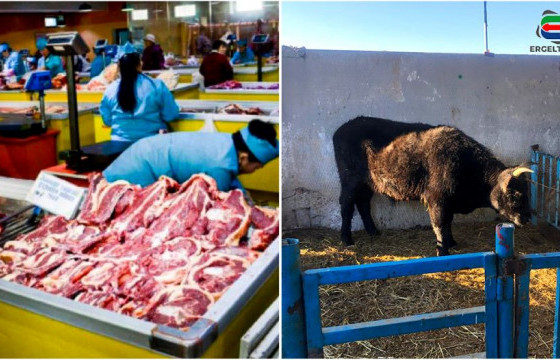 СУРВАЛЖИЛГА: ИДЭШНИЙ ҮХЭР 1.6 САЯ ТӨГРӨГИЙН ҮНЭТЭЙ БАЙНА