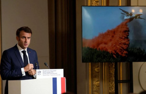 Франц Улс тэрбум мод тарьж, ойн сангийнхаа 10 хувийг нөхөн сэргээнэ гэв