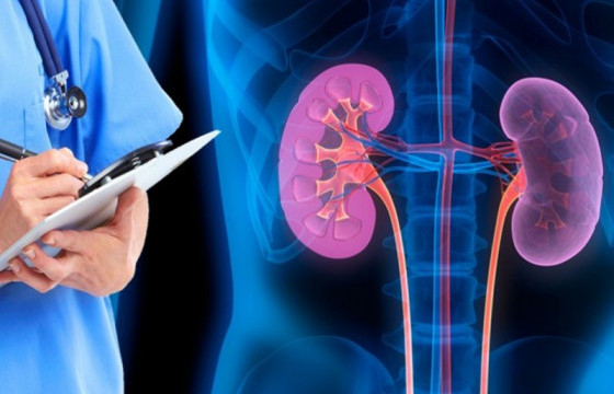 Бөөр, шээсний замын хорт хавдрын тусламж, үйлчилгээг ЭМД-ын сангаас бүрэн хариуцна