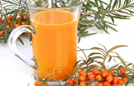 Чацаргана жимсний ач холбогдол