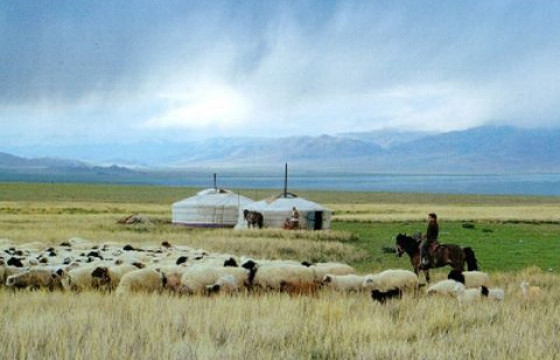 Мал тооллогын лавлагааг 