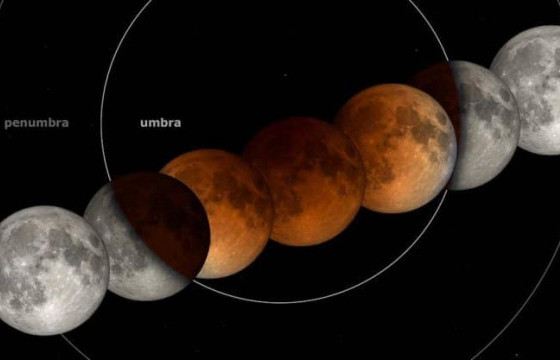 ОДОН ОРОН СУДЛААЧ Б.БАТБАЯР: Сар хиртэлтийн үед мацаг барина гэдэг нь ташаа мэдээлэл 