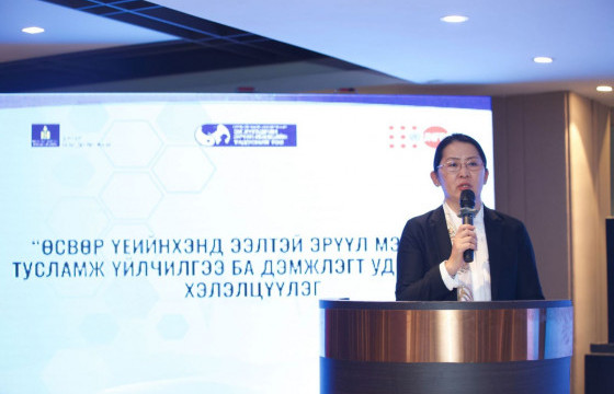 “Өсвөр үеийнхэнд ээлтэй эрүүл мэндийн тусламж үйлчилгээ ба дэмжлэгт удирдлага” хэлэлцүүлэг болж байна